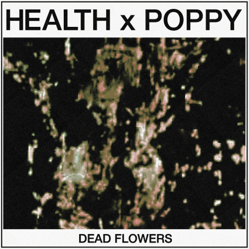 Poppy : Dead Flowers